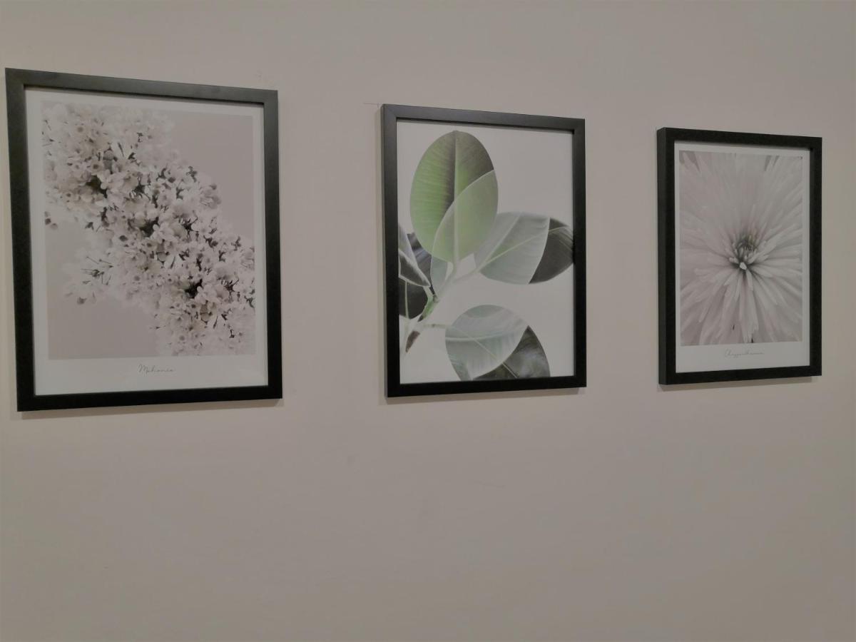 Apartia Krenova, Brno-Center 外观 照片